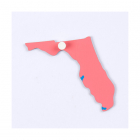 Inlegkaart USA, Florida