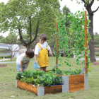 Potager surélevé à plusieurs niveaux avec treillis