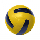 Skin-Coated Volleyball