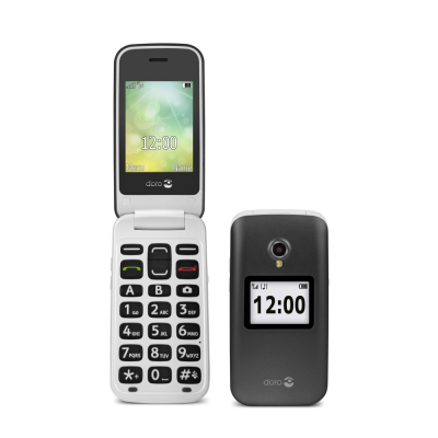Téléphone mobile 2424 2G - gris/blanc