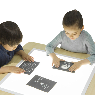 Table Lumineuse Interactif