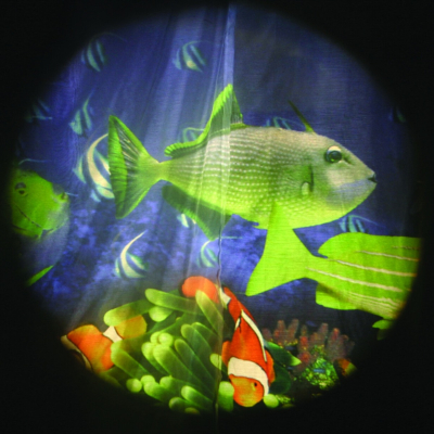 Tropische Vissen - Projector Wiel